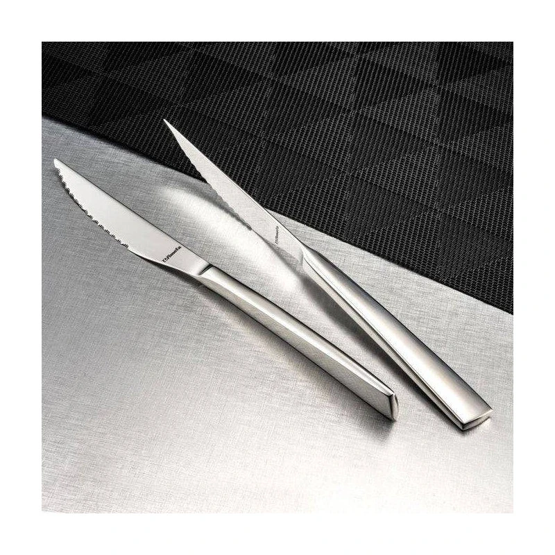 AURORA Standing Coffret Amefa 4 Couteaux Steak Gris Magnet SC 3 AURORA Standing Coffret Amefa 4 Couteaux Steak Gris Magnet SC