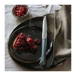 BON APPETIT PLUS Coffret De 4 Couteaux De Table Microdentée Steak OPINEL Glam 4 Couleurs -Magasin De Cuisine À Domicile bon appetit plus coffret de 4 couteaux de table microdentee steak opinel glam 4 couleurs 7
